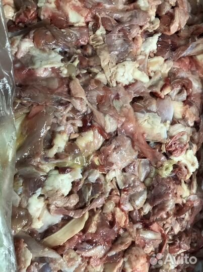 Корм для животных