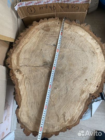 Спилы дуба марёного и нет