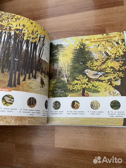 Книга деревья