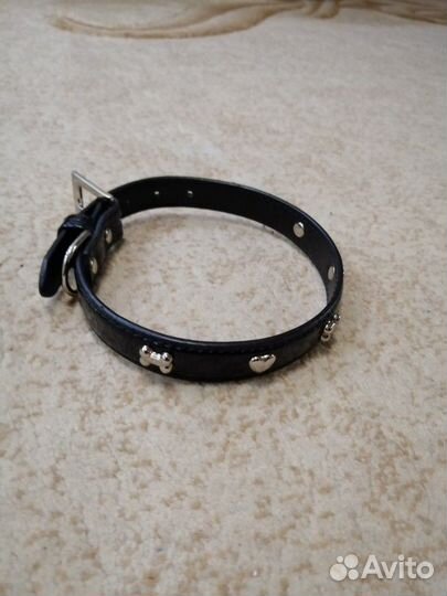 Товары для животных