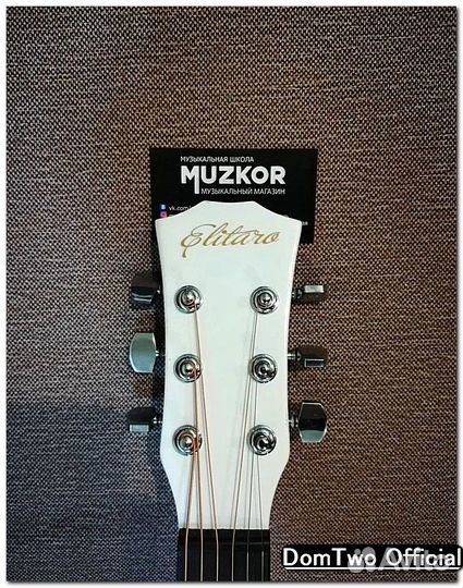Акустическая гитара Ellitaro новая