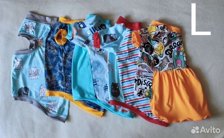 Одежда для кошек