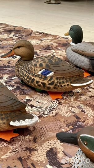 Утки чучела