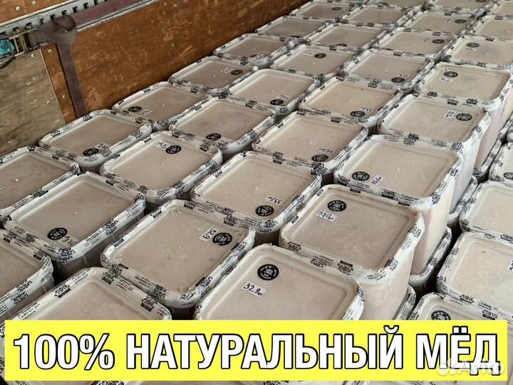 Фермерский мёд оптом с Алтая