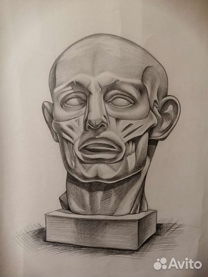 Художник академический рисунок и живопись портреты