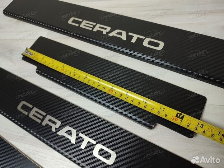 Накладки на пороги 