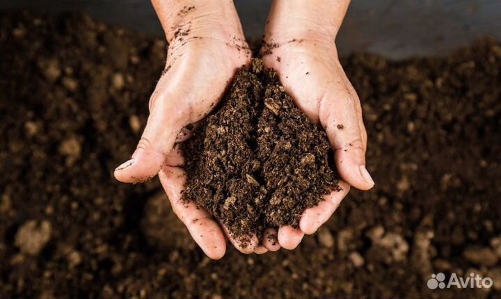 Торф бюджетный