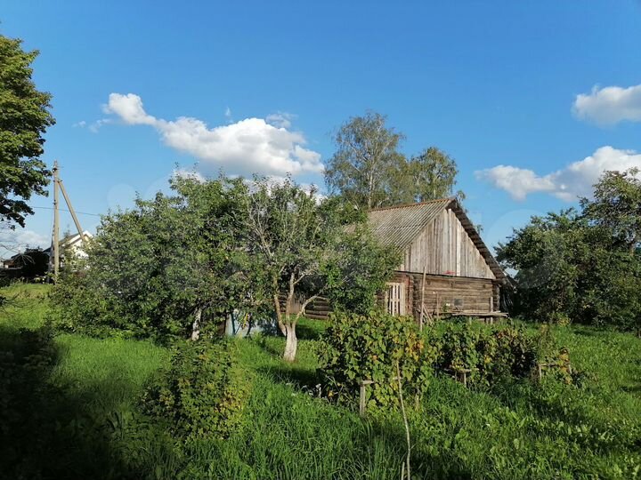 Дом 48 м² на участке 38 сот.