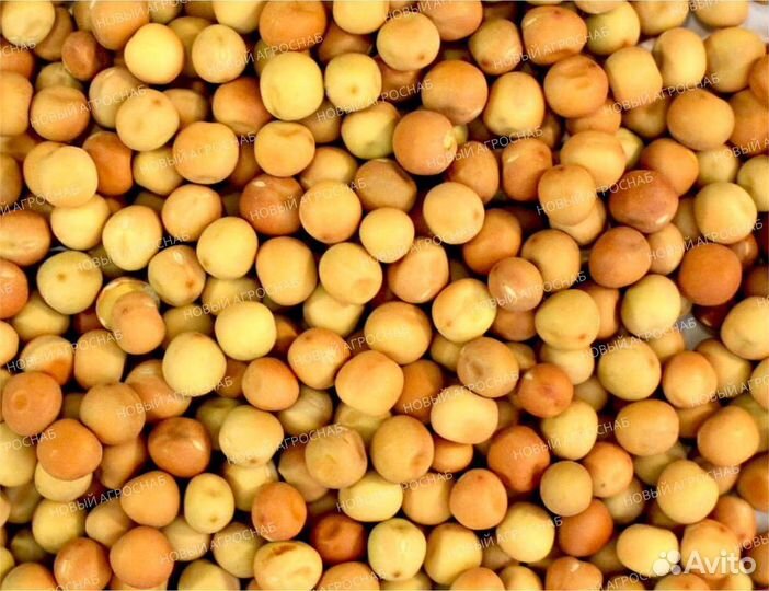 Зерно в мешках