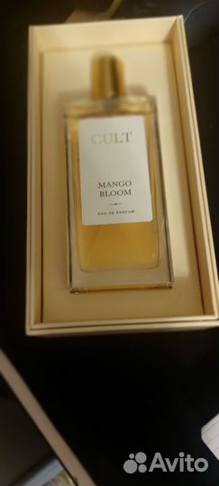 Cult mango bloom