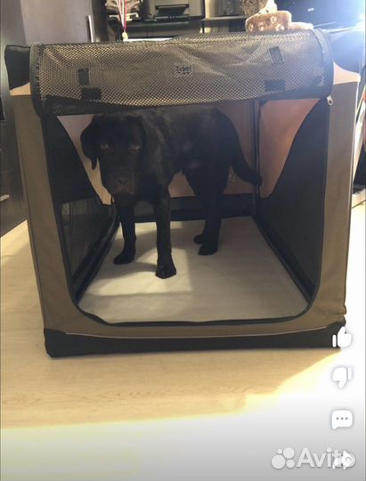 Дом-тент для собак 