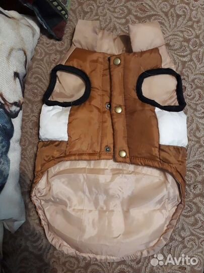 Одежда для собак