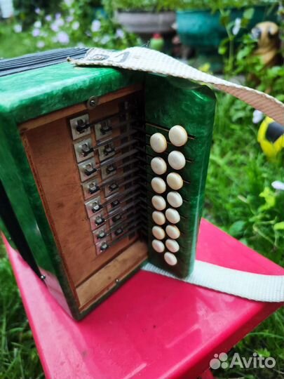 Гармонь детская