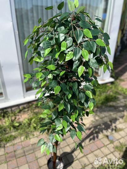 Искусственное дерево