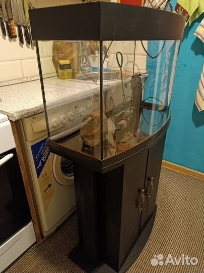 Панорамный аквариум с тумбой на 70 литров