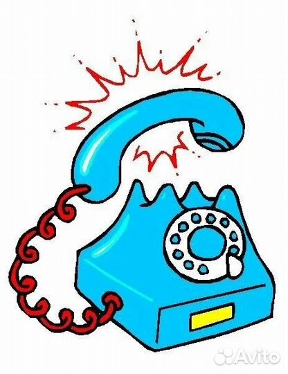 Написать нам сюда