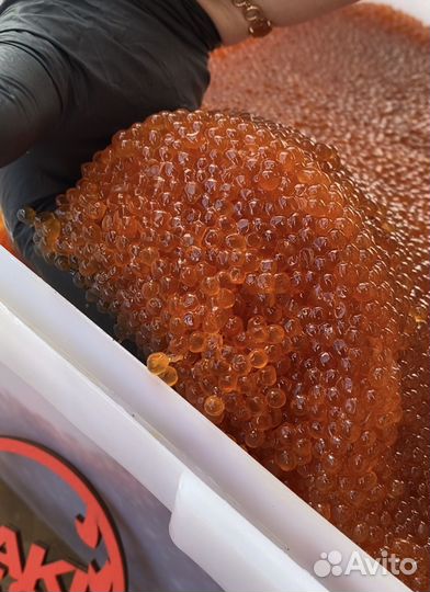 Икра с Камчатки июль 2023 с доставкой на дом