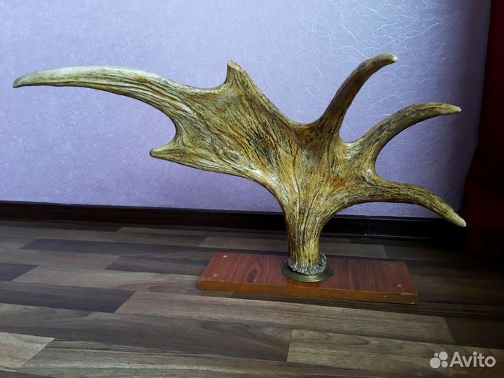 Лосиный рог на подставке лакированный