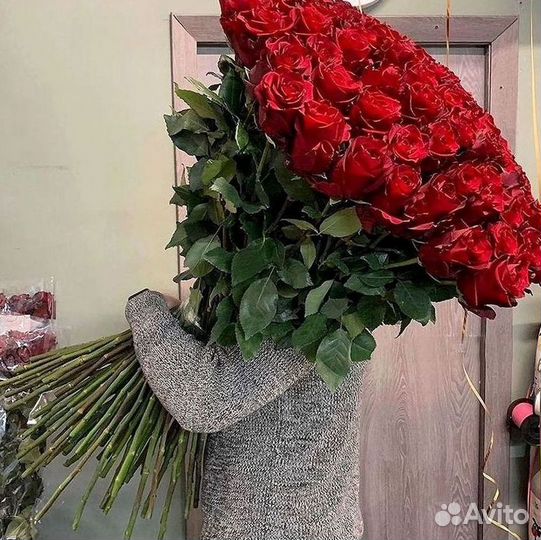 101 роза цветы букеты доставка 25 51 101 роза