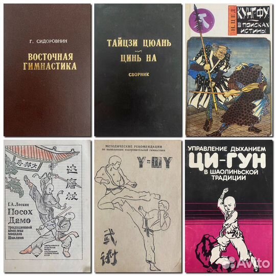 Книги о Вин Чун Кунг-фу и ушу