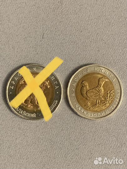 Красная книга 1993 год