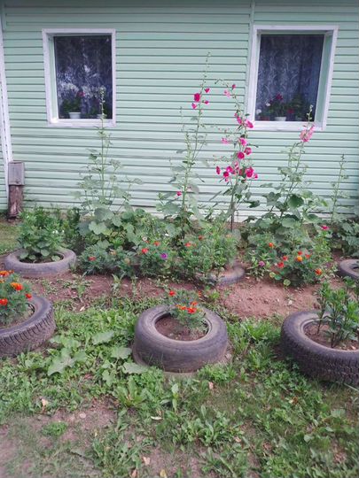 Дом 31,1 м² на участке 9 сот.