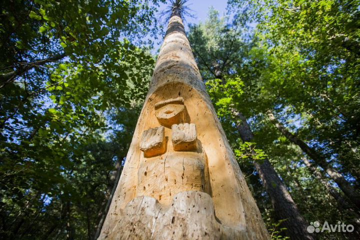 Рыбалка и отдых