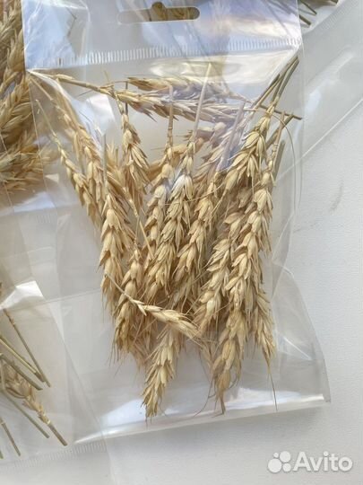 Набор для творчества пшеница