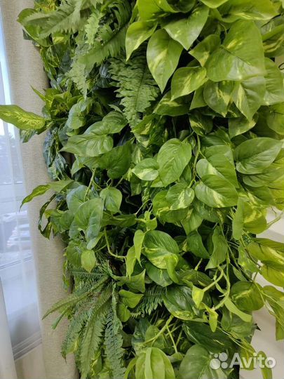 Стены из растений, вертикальное озеленение, от