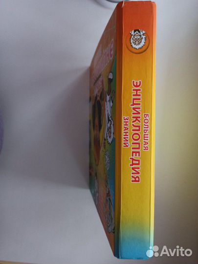 Большая энциклопедия