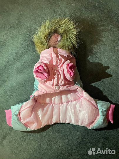 Одежда для собак