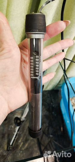 Аквариум + аксессуары