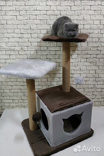 Игровой комплекс для кошек Рокси