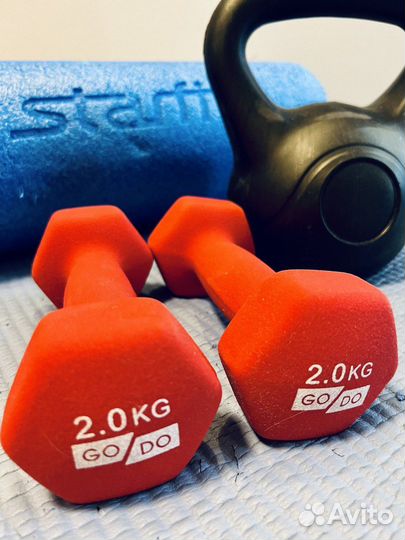 Гантель GO DO ZSP, 2 шт. по 2 кг, красный цвет