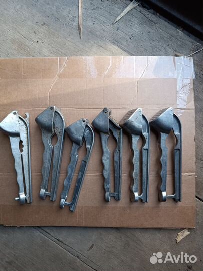 Чесночницы СССР