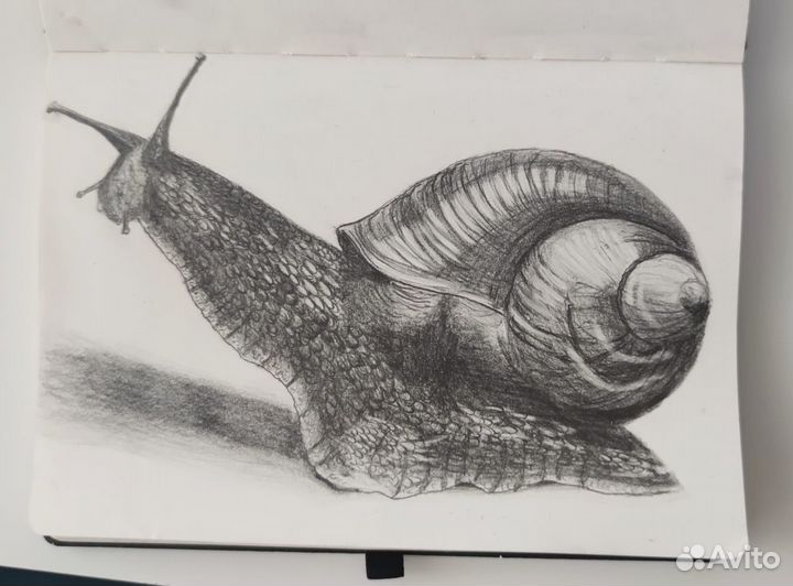 Обучение рисованию