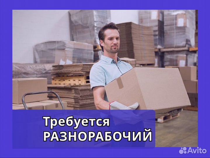 Разнорабочий в ночь. Еженедельная выплата