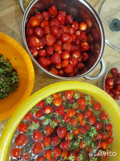 Саженцы клубники