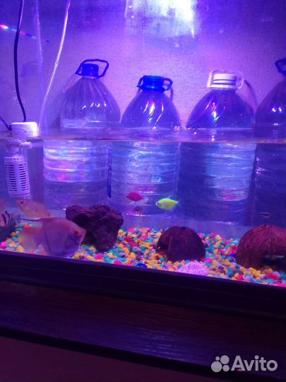 Украшения для аквариума