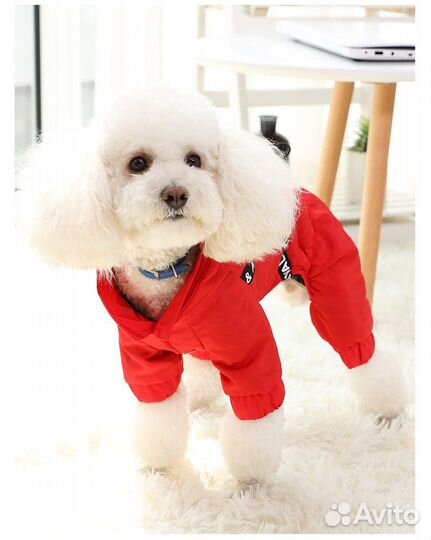 Комбинезон для собак со шлейкой