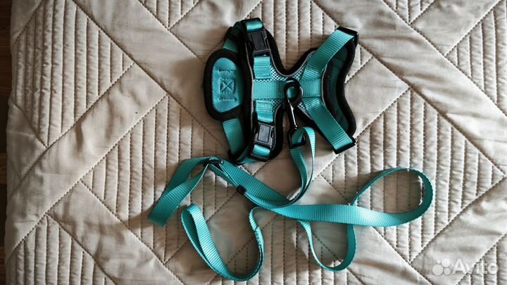 Шлейка и поводок для кошек