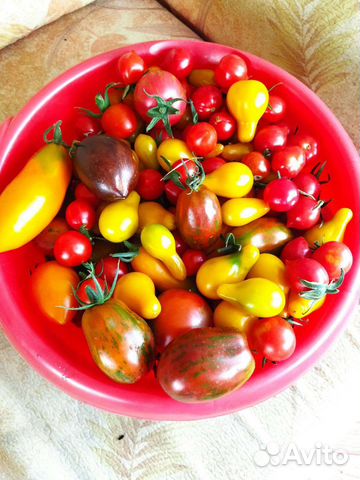 Семена томатов редкие сорта