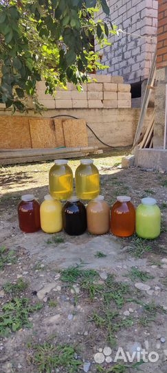 Мёд(Мед) оптом