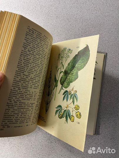 Дикорастущие пищевые растения Чебоксары 1993