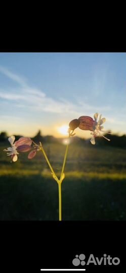 Видеосъемка видеограф