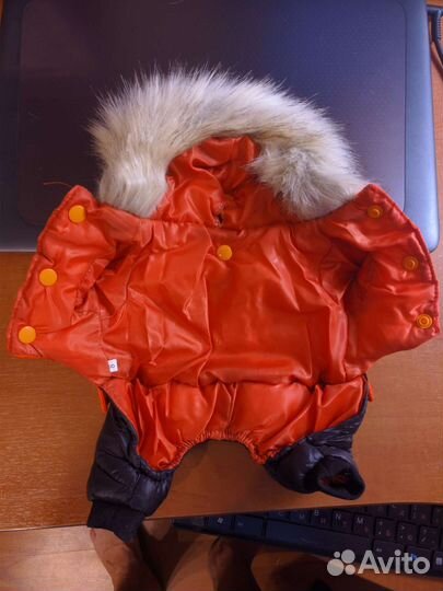 Комбинезон с капюшоном для маленькой собаки