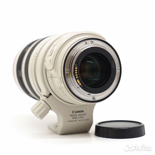 Canon EF 28-300mm f/3.5-5.6L IS USM (8108)