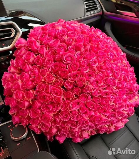 101 роза 51 роза 35 25 букет роз Доставка