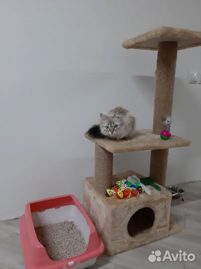 Домик для кошки