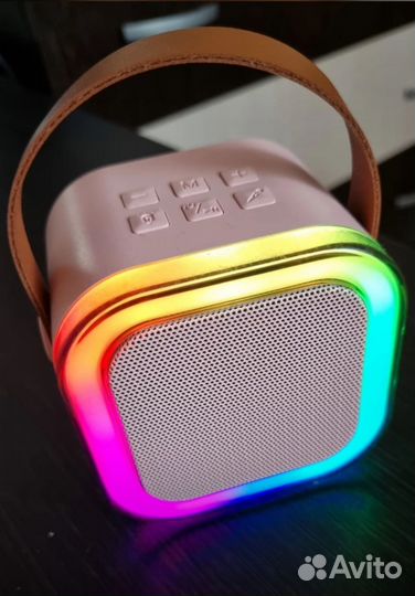 Портативная колонка с караоке